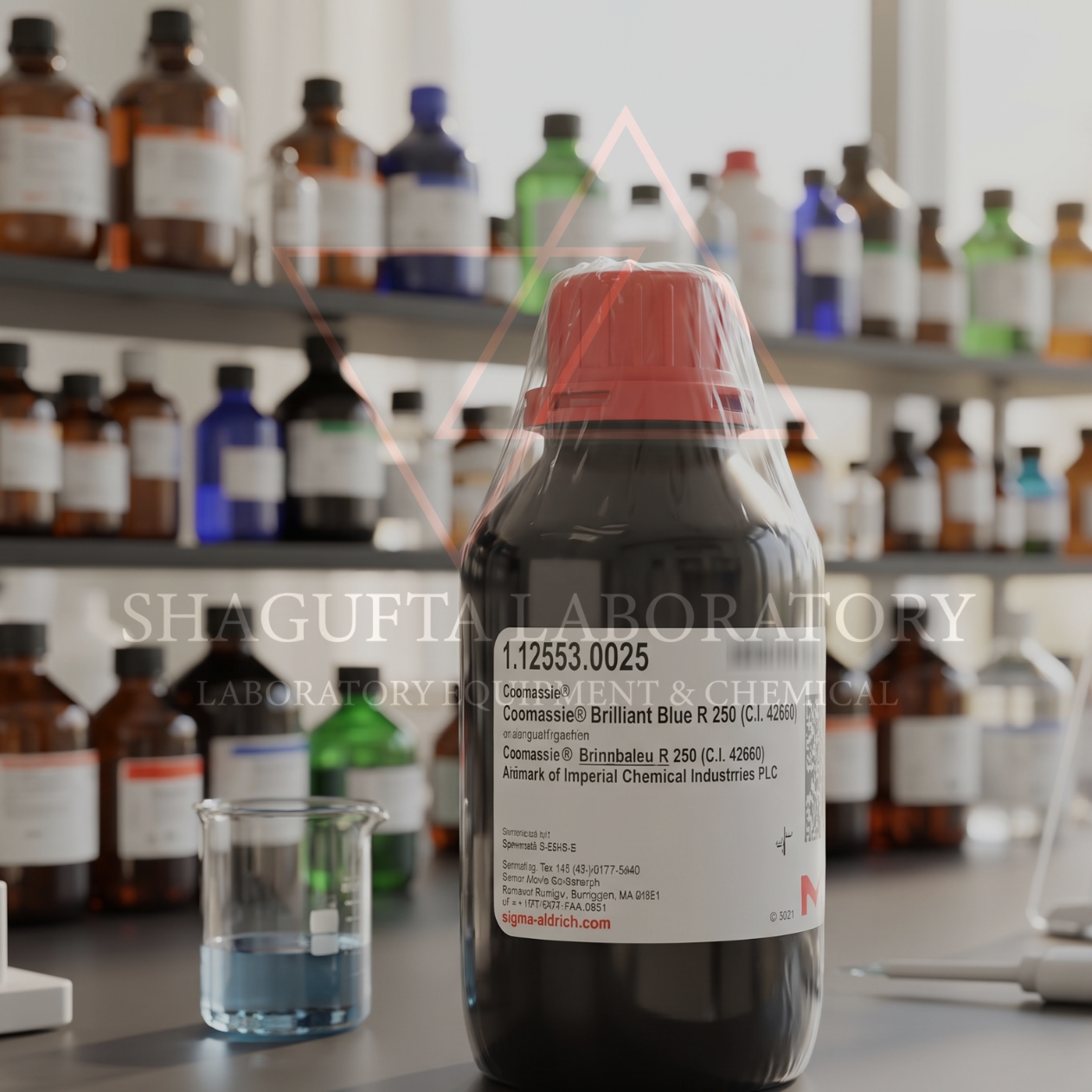 Merck 112553 Coomassie Brilliant Blue R-250 1GR for Microscopy / C.I. 42660 / Protein Stain Dye (REPACK)